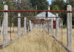 The rig in the building creates the power and it is transferred through the jerker line to the pumpjack to pump a well.