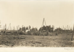 This undated photo was taken in Oil Springs.